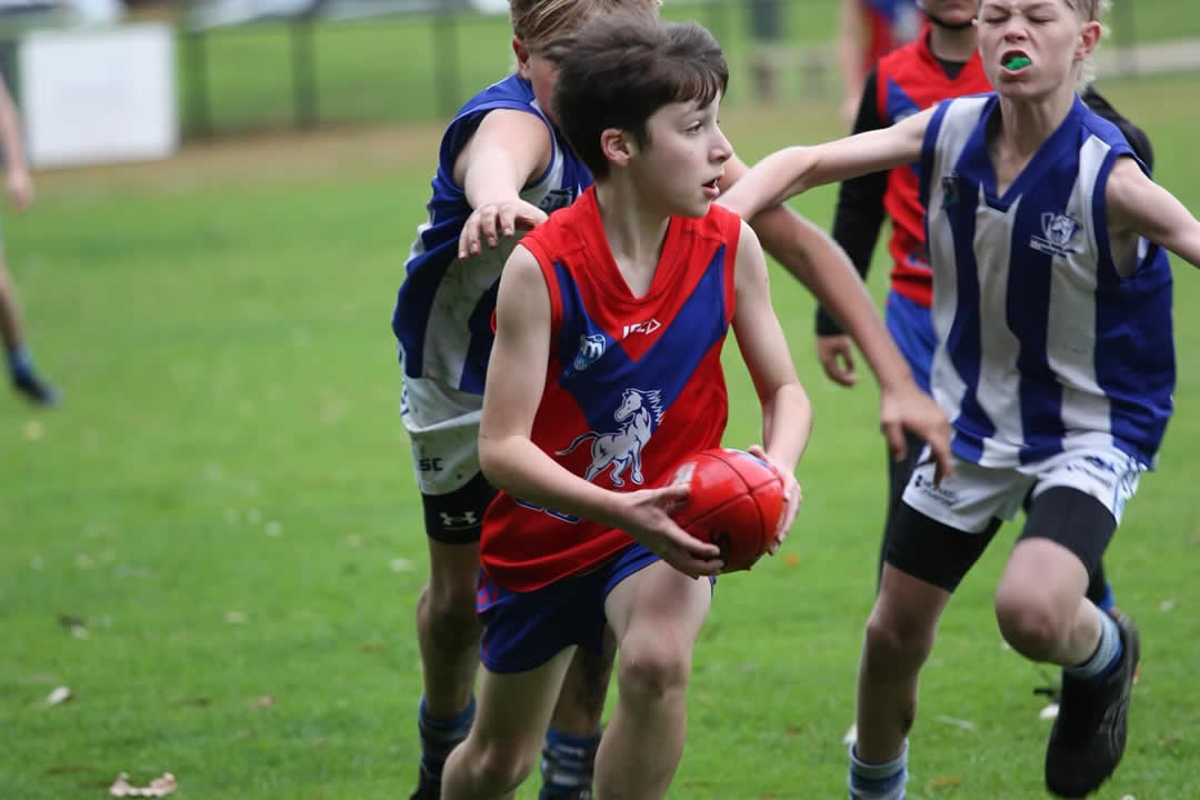 Calling All Photographers – Help Capture the Colts in 2026